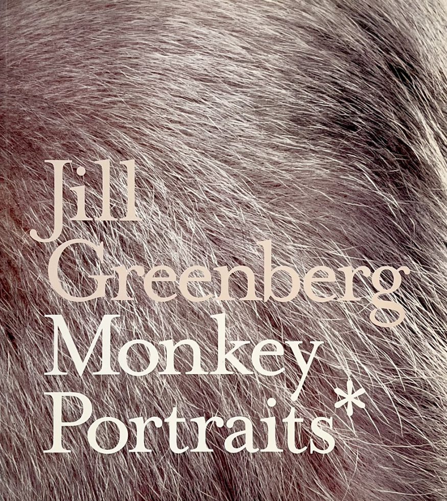 Jill Greenberg, Monkey Portraits