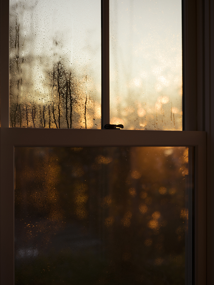 Jess T. Dugan, Window at sunrise