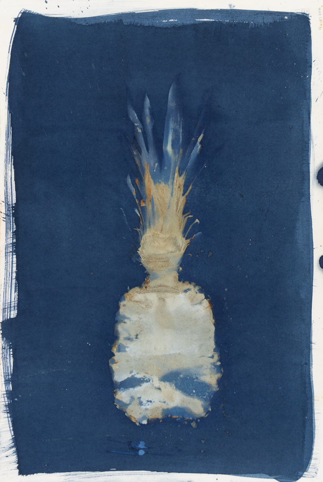 An abstract photogram by Brian Buckley with blue and yellow colors of a pineapple