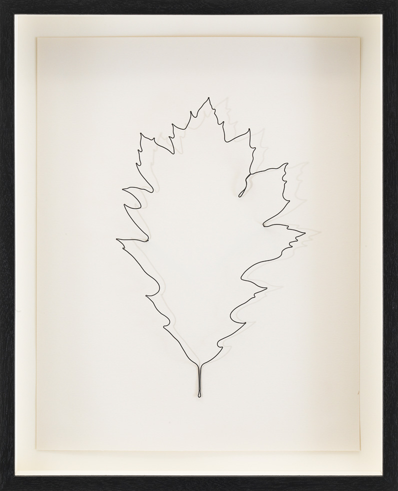 A wire and paper artwork sculpture by Eric Rhein of a leaf entitled Elegant Robert [Robert Leviathan (1951-2016), from "Leaves, An AIDS Memorial], created in 2016.