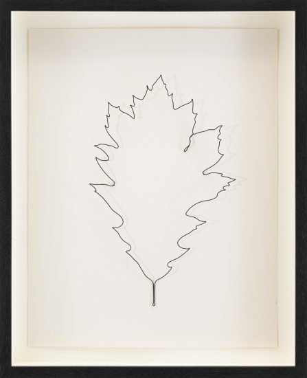 Eric Rhein | CLAMP