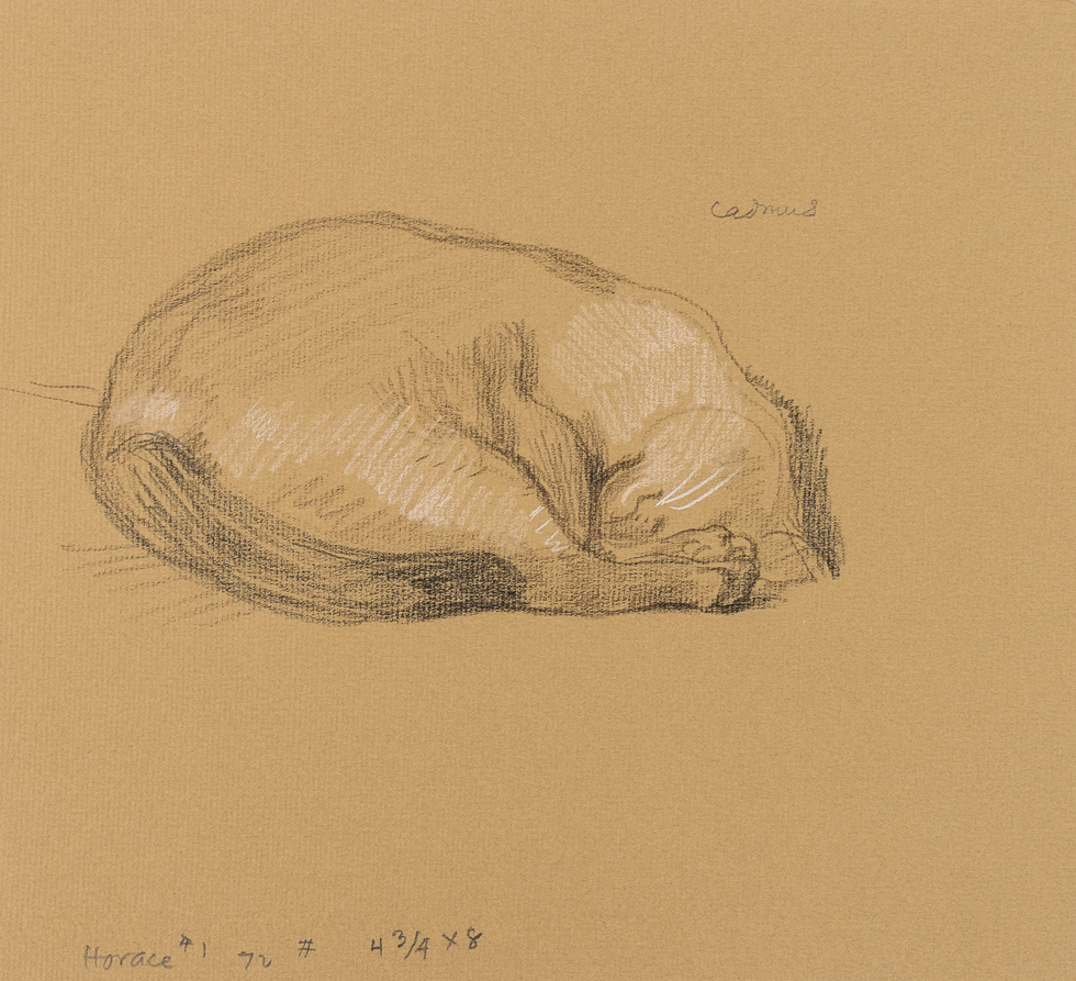 This is a drawing by Paul Cadmus of a happy Cat named Horace curled up in a ball.