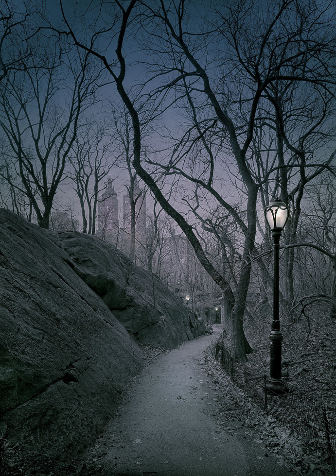 This is a landscape photograph by Michael Massaia taken in Central Park, New York City.