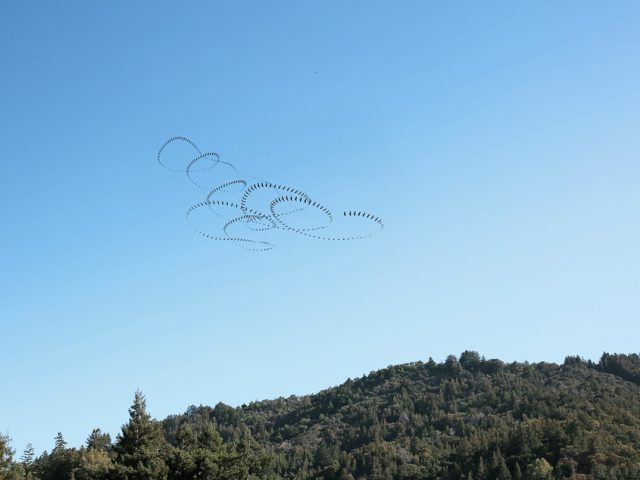 This is a photograph by Doris Mitsch of Hawks flying in the sky .