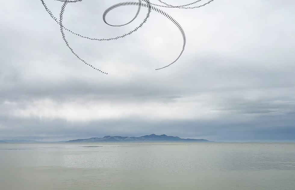 This is a photograph by Doris Mitsch of birds flying over the Great Salt Lake in Utah.