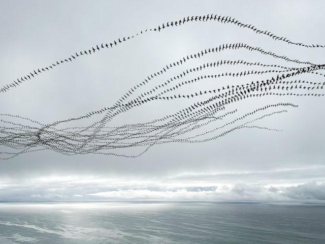 This is a photograph by Doris Mitsch of birds flying over the sea with a bright series of clouds in the distance.