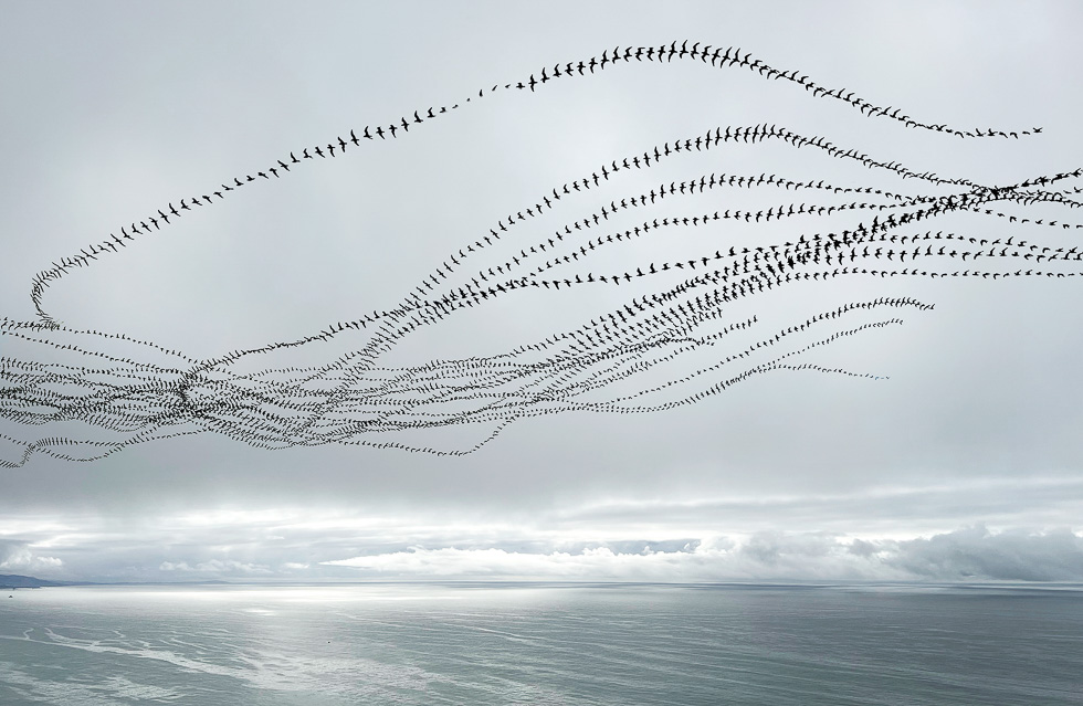 This is a photograph by Doris Mitsch of birds flying over the sea with a bright series of clouds in the distance.