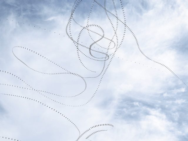 This is a photograph by Doris Mitsch of Vultures flying in the sky taken in 2021.