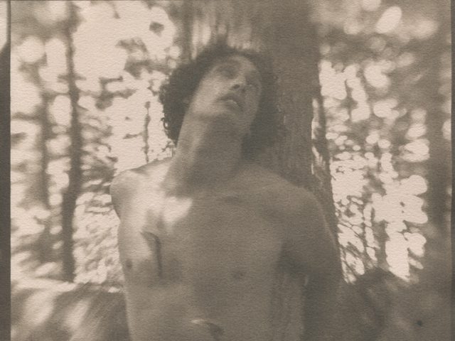 This is a black and white photograph by Curtice Taylor of a man tied to a tree entitled St. Sebastian.