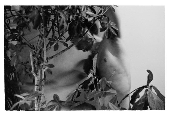 This is a black and white photograph of a shirtless man with dark hair entangled with a tree against a white wall.