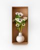 Black Eyed Anemone (White)