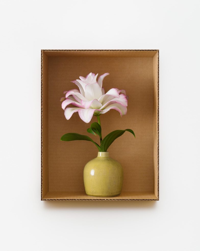 This is a photograph of flowers in a yellow vase inside a cardboard box.