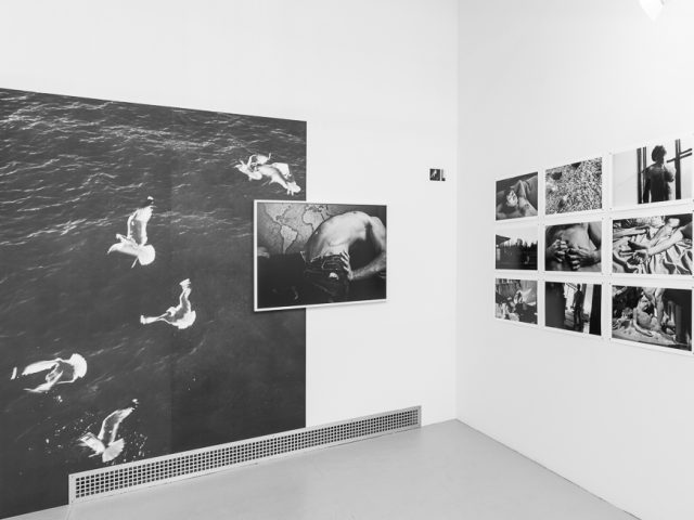 This is a photograph of a white-walled art gallery with black and white photographs on the wall.