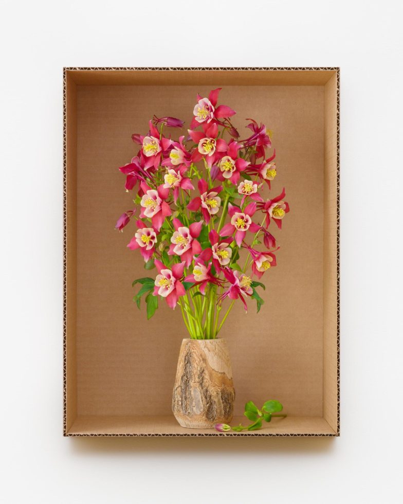 This is a photograph of pink flowers in a wooden vase inside a cardboard box.