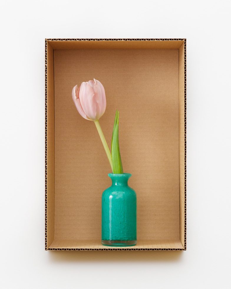 This is a photograph of a pink tulip in a green vase in a cardboard box.