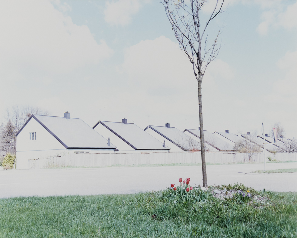 This is a photograph of white houses in Sweden with a green lawn and tree in the foreground.