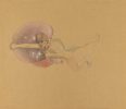 Untitled (Flying Male Nude)
