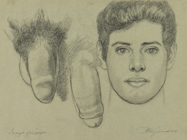 This is a pencil drawing of a man's head to the right and two penises to the left.