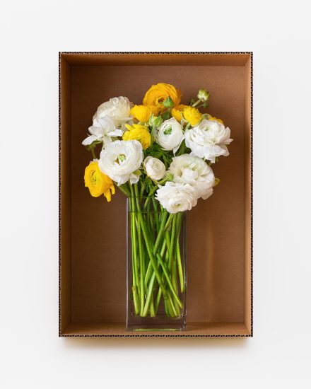 This is a floral arrangement of white and yellow ranunculus in a clear vase placed within a cardboard box.