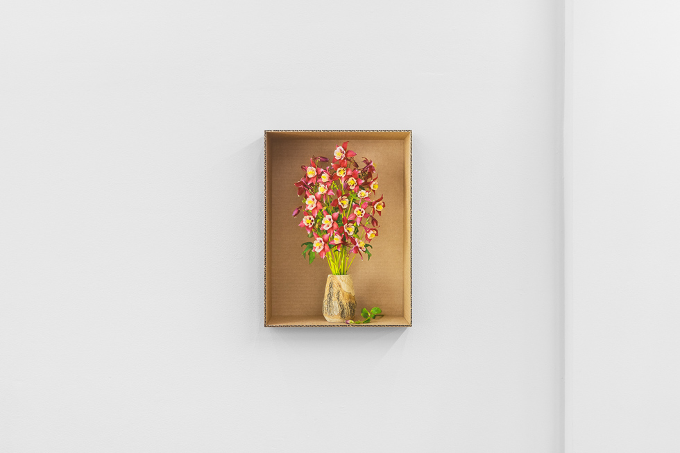 This is a photograph of Daniel Handal's exhibition "Engaños" on view at CLAMP.