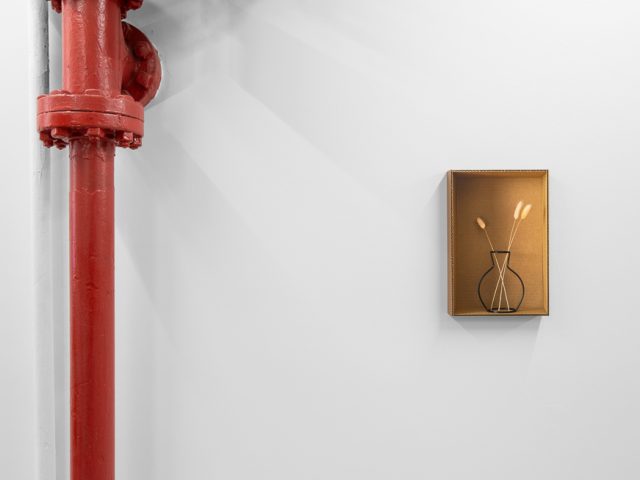 This is a photograph of Daniel Handal's exhibition "Engaños" on view at CLAMP.