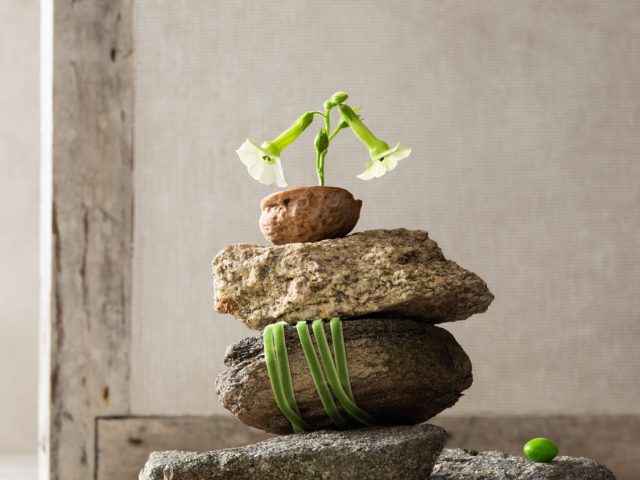 This is a photograph of a stack of rocks.