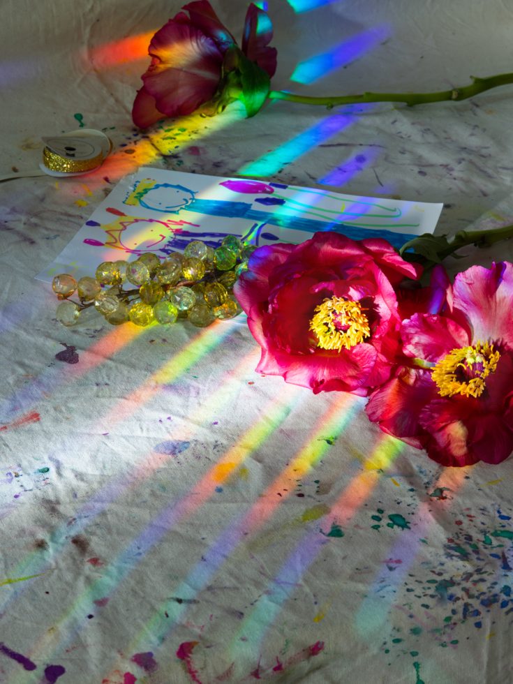 This is a photograph of a tree peony with rainbow light shining on it.