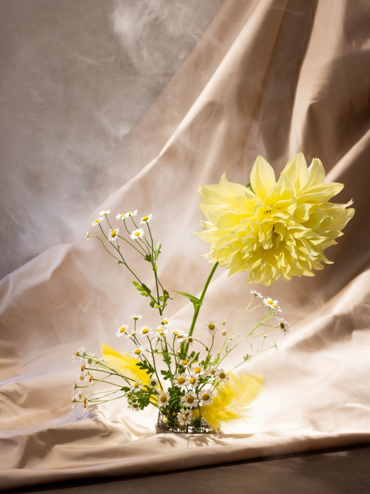 This is a photograph of a yellow fower.