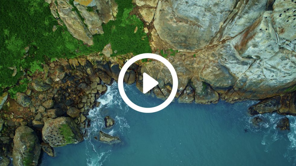 A rocky coastline meets the ocean, with green vegetation clinging to the rugged cliffs.