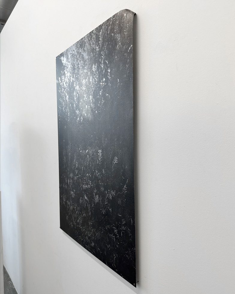 This is a screen print hanging on a wall