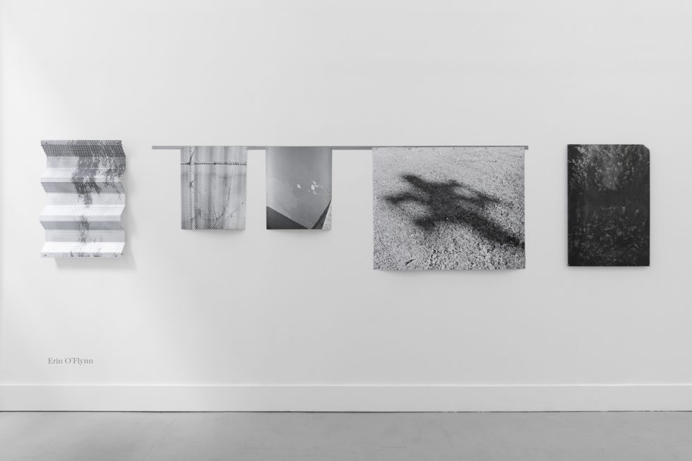 This is an installation image of artwork on display in a gallery.