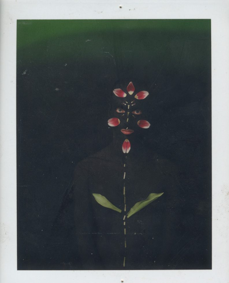 This is a photograph of a man covered in dark paint with flowers and leaves on his body and face.