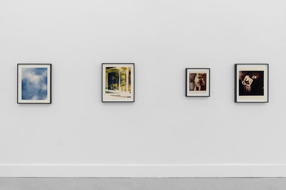 This is a photograph of a series of pictures hanging on the wall of a white, stark, gallery space.