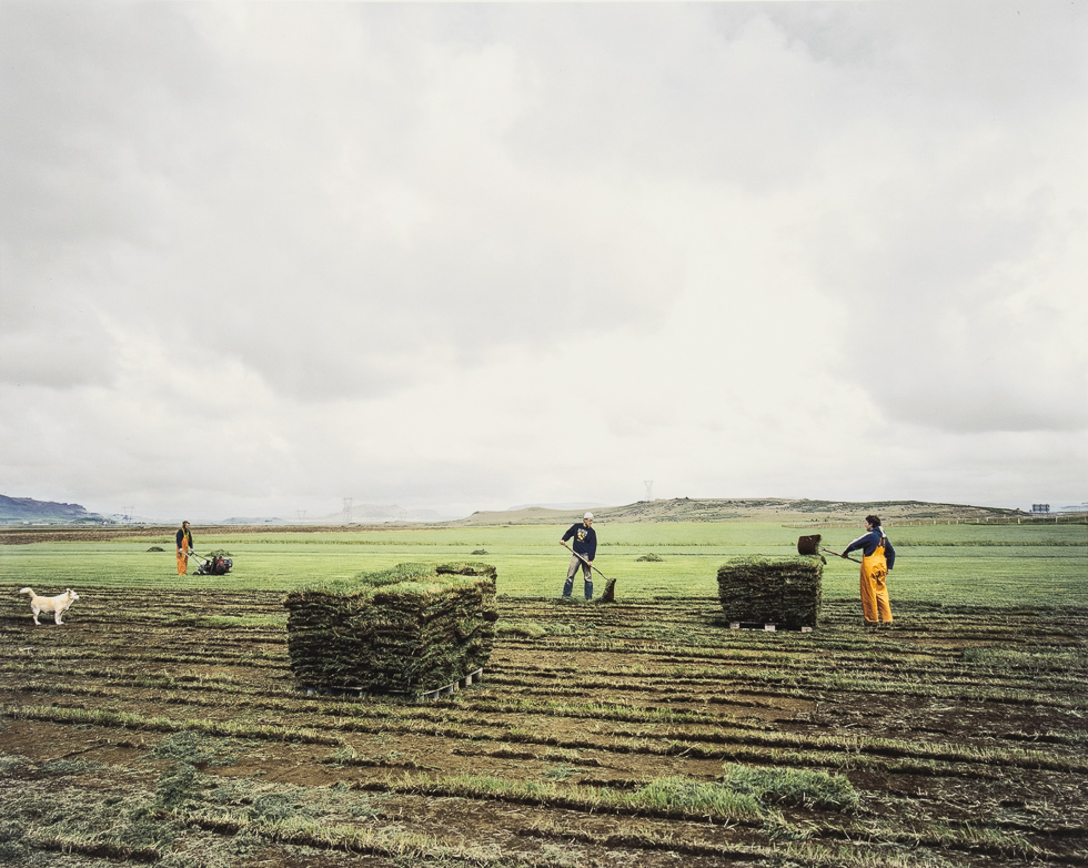 This is a color photograph of a group of men harvesting sod/turf in Norway.