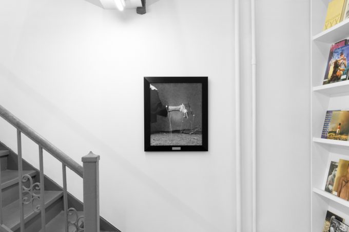 A photograph showing a framed black and white photograph on a white gallery wall next to a bookshelf.