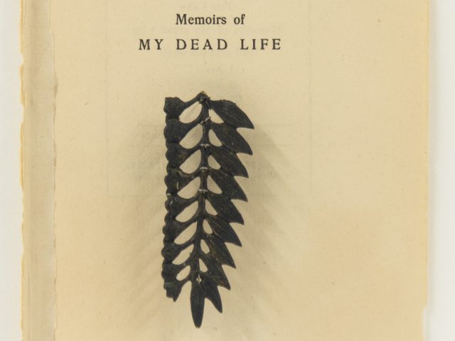 Click for sizes / editions / prices. The image shows an old, worn page titled Memoirs of My Dead Life. Below the title is a small, black botanical element, resembling a pressed or carved leaf or fern, attached to the page.