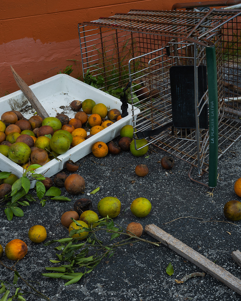 Spilled cart of oranges on asphalt with overturned shopping cart.