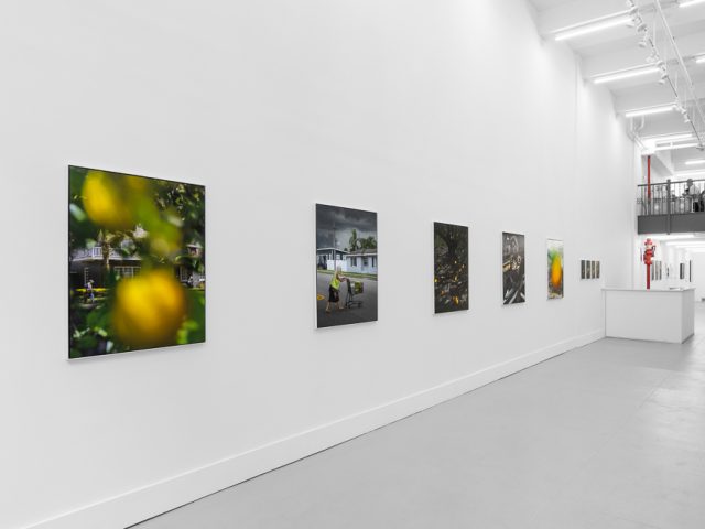 A modern art gallery displays a vintage orange advertisement alongside other artworks, possibly with a Florida theme.