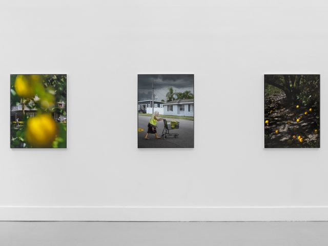 A modern art gallery displays a vintage orange advertisement alongside other artworks, possibly with a Florida theme.