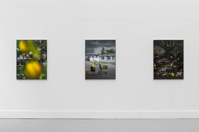 A modern art gallery displays a vintage orange advertisement alongside other artworks, possibly with a Florida theme.
