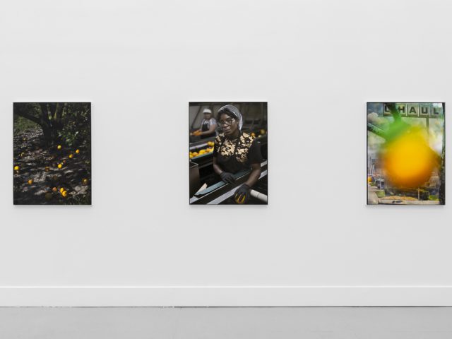 A modern art gallery displays a vintage orange advertisement alongside other artworks, possibly with a Florida theme.