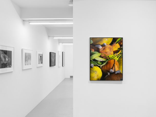 A modern art gallery displays a vintage orange advertisement alongside other artworks, possibly with a Florida theme.