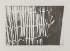 Untitled (Nude Figure Behind Beaded Curtain)