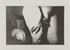 Untitled (Nude Female Form with Dog in the Background)