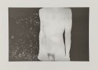 Untitled (Male Nude Torso Outside at Night)