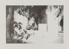 Untitled (Male Nude through Window)