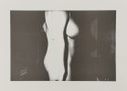 Untitled (Nude Torso in Profile)