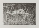 Untitled (Figure in Grass)