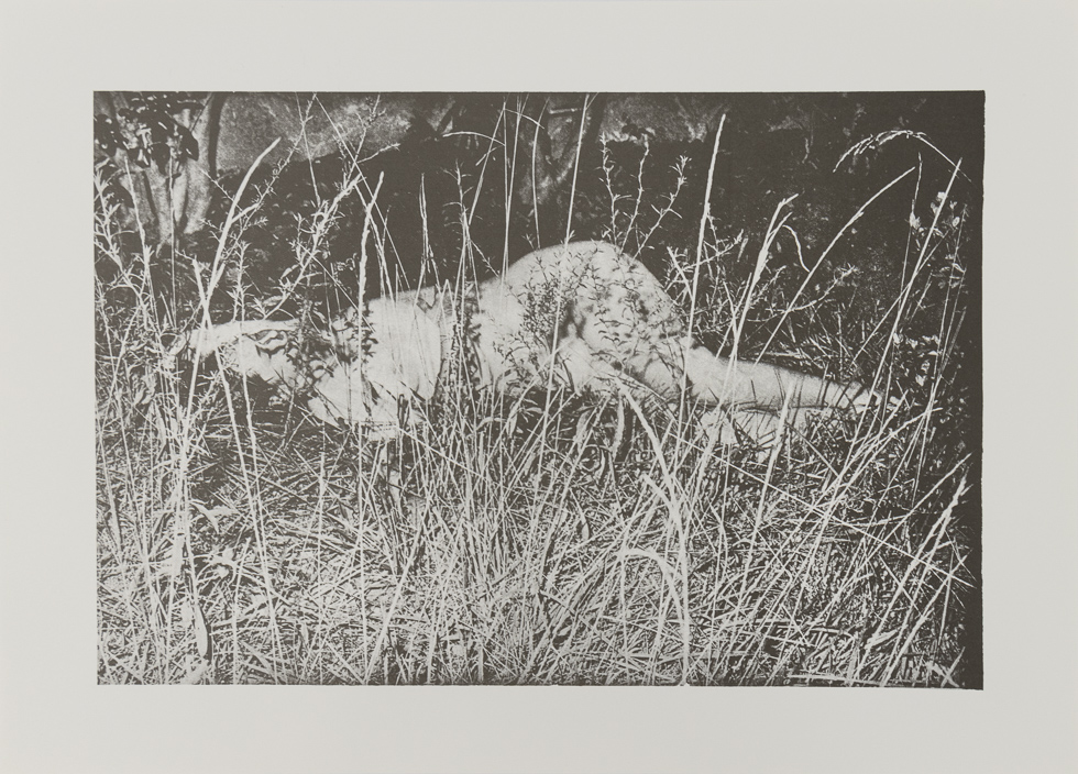 A black-and-white photograph of a figure lying on the ground, partially obscured by tall grasses and vegetation. The scene appears natural and slightly overexposed, with a grainy texture adding a timeless, mysterious atmosphere.