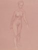 Standing Female Nude